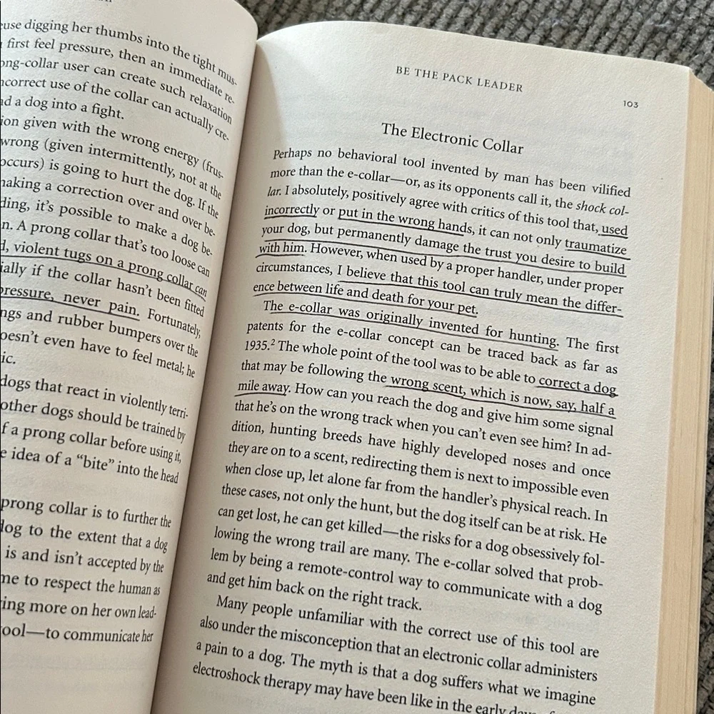 Cesar millan book Be The Pack Leader Cesar’s way to transform your dog